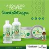 Kit Queda e Caspa - Probella