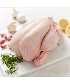 Frango a Granel - Caixa