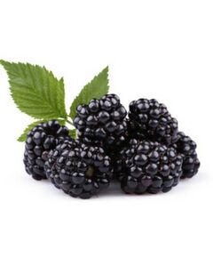 Amora Silvestre - Fruta