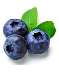 Mirtilo - Fruta