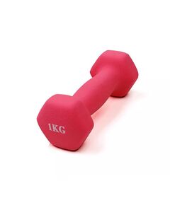 Halter Hexagonal 1Kg