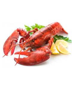 Lagosta
