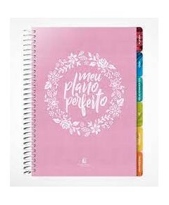 Meu plano perfeito Rosa A. Rigazzo Thomas Nelson