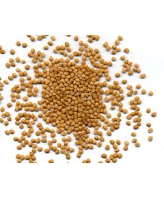 Semente de Beringela - Embú