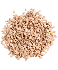 Semente de Tomate - Cássio