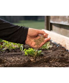 Fertilizante NPK 12-24-12