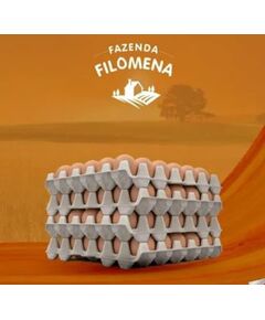 Ovo Fazenda Filomena - Cx