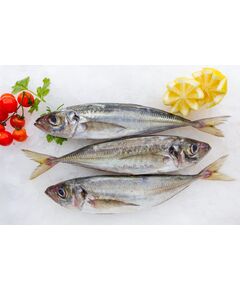 Peixe Carapau Fresco -  Meia caixa