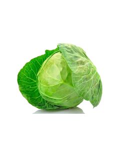Repolho - (Un)