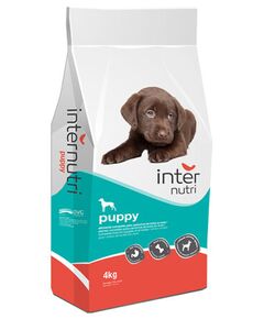 Internutri Cão Puppy 20kg