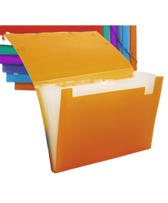 Pasta Fole 12 Divisores