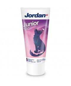 Pasta De Dentes Júnior 6 A 12 Anos 50 Ml Lilas - Jordan
