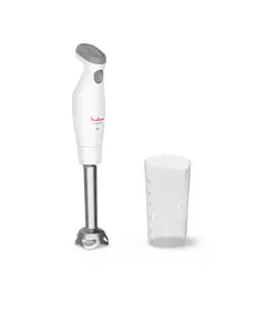 MOULINEX VARINHA MAGICA EASYCHEF INOX 450W