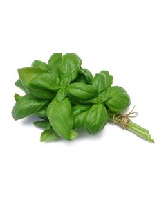 Manjericão - Orgânico - 250gr