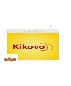 Caixa de Ovos com 12 Cartões - 360 ovos - L