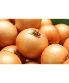 Cebola Nacional - 5Kg