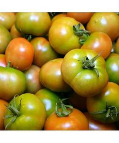 Tomate Verde Nacional