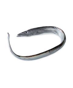 Caixa de Peixe Espada -20kg