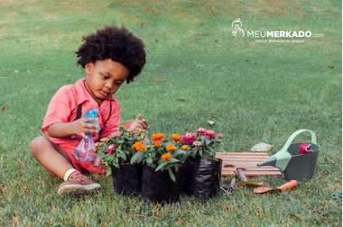 DICAS PARA MANTER O JARDIM BONITO