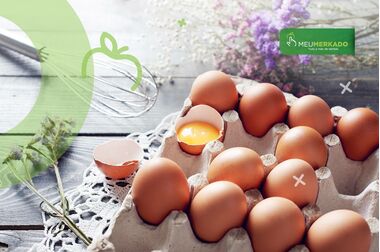 Quantos ovos por dia?