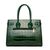 Conjunto de Bolsa Emery Rose verde
