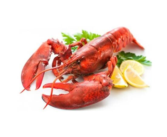 Lagosta