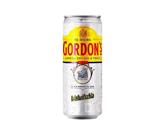 Gordons & Welwitschia 330Ml