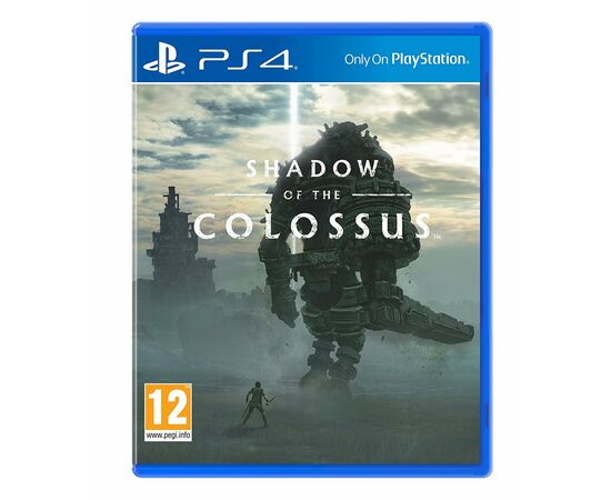 Shadow of The Colossus (PS4)