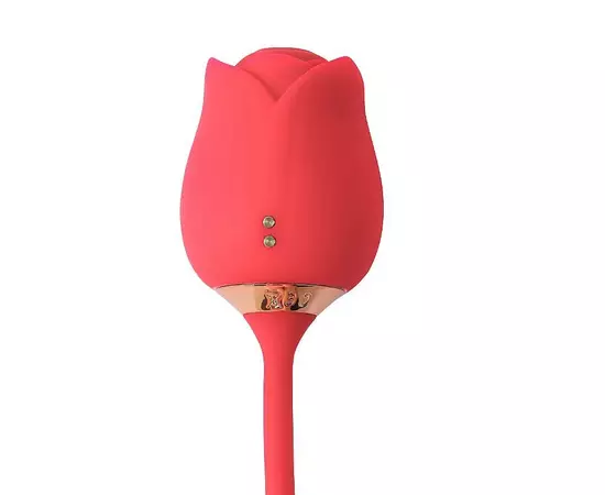 Sugador Clitoriano Duplo