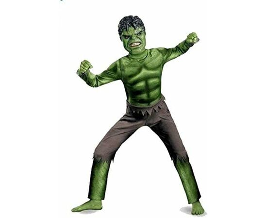 Fantasia Infantil Hulk